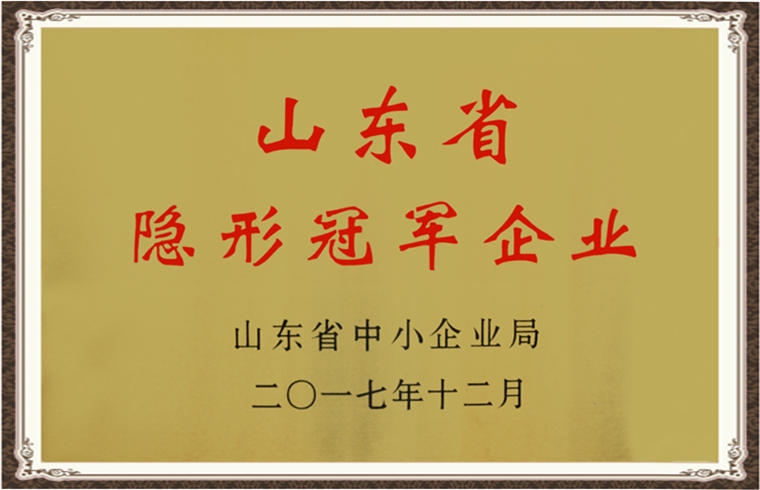 山東省隱形冠軍企業