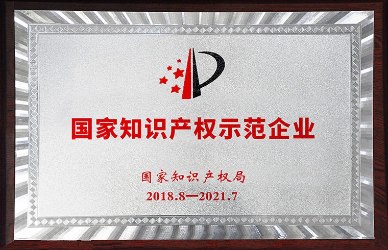國家知識產權示范企業